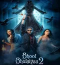 Bhool Bhulaiyaa 2 (2022) Bollywood Hindi Movie HD ESub
