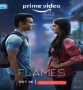 Flames S3 (2022) Hindi Completed Web Series HEVC ESub
