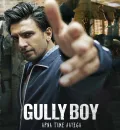 Gully Boy (2019) Bollywood Hindi Movie BluRay HD ESub