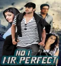 Mr. Perfect (2011) (Hindi + Telugu) Dual Audio UnCut South Movie BluRay HD ESub