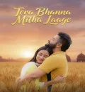 Tera Bhanna Mitha Laage (2025) Punjabi Movie HD ESub