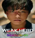 Weak Hero S01 (2022) (Hindi + English) Dual Audio Completed Web Series HEVC ESub